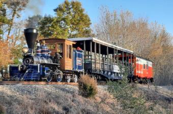 Diesel and<span>/</span>or Steam Train Excursions