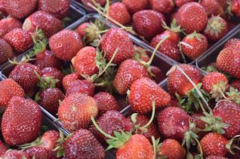 Discover Old Town Greenwood Strawberry Festival and Handmade Market