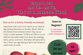 Natural Egg Dyeing Workshop