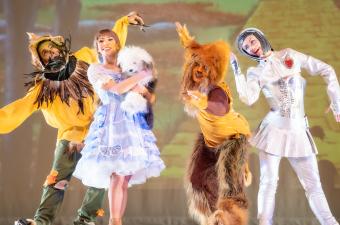 The All New Wizard of Oz On Ice