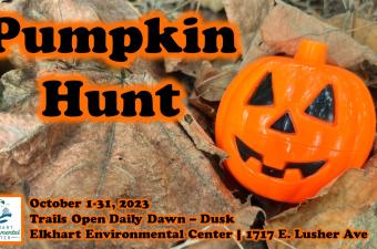 Pumpkin Hunt