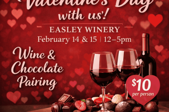 Valentine's Day Chocolate & Wine Pairing