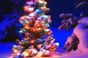 City Of Rockport Christmas Festival