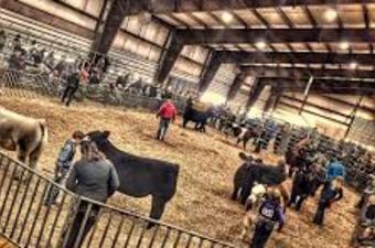 Gibson County Fair