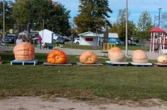Pennville Pumpkin Festival