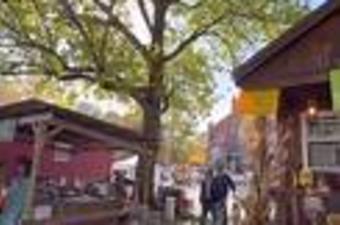 Parke County Covered Bridge Festival - Rosedale