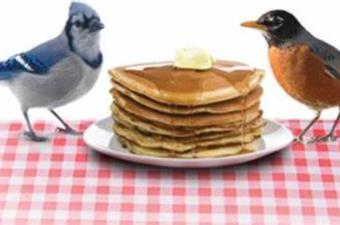 Breakfast with the Birds @ Indiana Dunes State Park