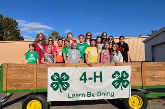 Vanderburgh County Fair