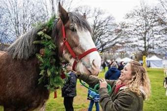 Winter Fest - New Palestine