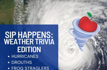 Sip Happens: Weather Trivia