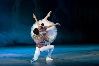Swan Lake - Presented by Indiana Ballet Theatre