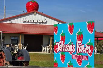 Strawberry Fest