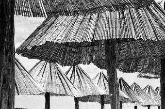 Artist Talk with Larry Lapidus