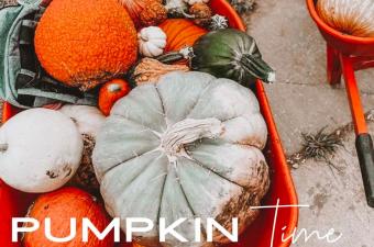Pumpkin Festival