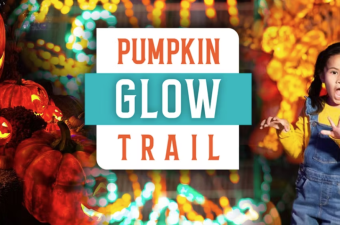 Pumpkin Glow Trail at Harvest Tyme
