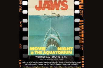Family Movie Night at the Aquatorium