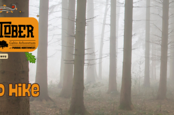 Oaktober Fest | Moonlight & Moth Light Haunted Hike