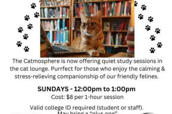 College Study Sessions with Cats!