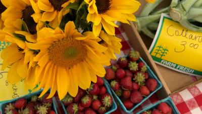 Empire State Plaza Farmers Market