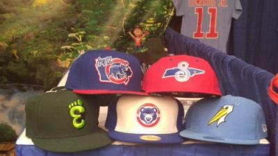 Champ with Cubs Farm Teams