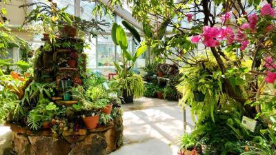 plants at williams conservatory on university of wyoming campus