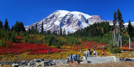 Paradise at Mount Rainier in fall
