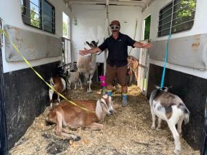 Chris and his goats