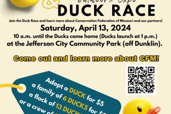 Jefferson City, MO Events Calendar - Concerts, Events, Fairs & Sports jefferson-city-mo-events-calendar-concerts-events-fairs-sports