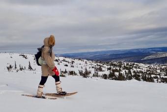 Blog Snowshoeing