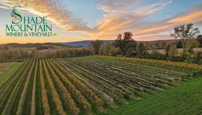 Picture of Shade Mountain Winery Vineyards
