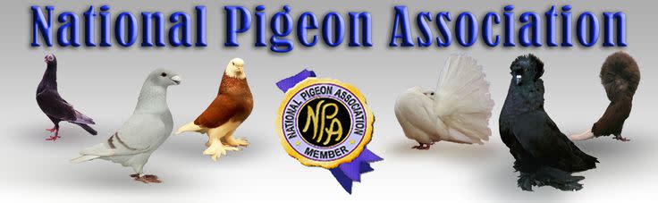 National pigeon Association logo
