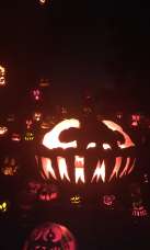Jack O'Lantern Spectacular 2017