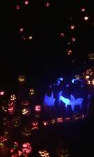 Jack O'Lantern Spectacular 2017