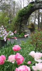 Blithewold Mansion & Arboretum