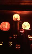 A Must See For Fall!