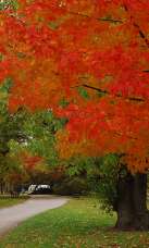 Blackstone Boulevard