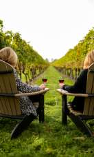 Newport Vineyards