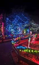 christmas holiday lights outdoor winter family fun