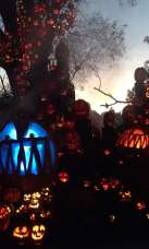 Jack-O-Lantern Spectacular-Roger Williams Park Zoo-Providence