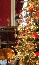 Elms Mansion at Christmas