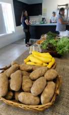 Keeping it fresh: Fresh Harvest Kitchen provides cooperative home for local fishermen