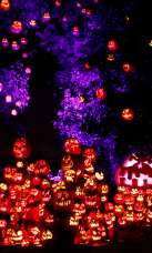 Jack-O-Lantern Spectacular -Providence