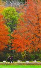Hiking in Fall