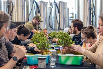 Bonsai Bar Workshop at Sanitas Brewing Company - Englewood