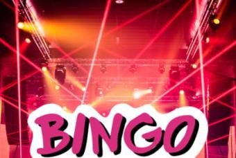 Bingo Loco: The Ultimate Bingo Party