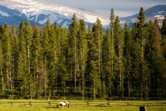 Devil's Thumb Ranch Resort & Spa