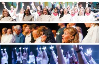 Fallen. Faltering. Fearless: A Villain's Story