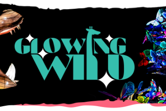 Glowing Wild