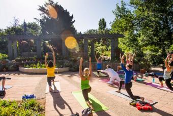 Yoga Alignments: Explore and Refine