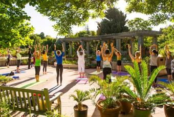 Chi Kung For High-Level Wellness